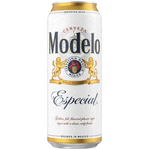 MODELO ESPECIAL